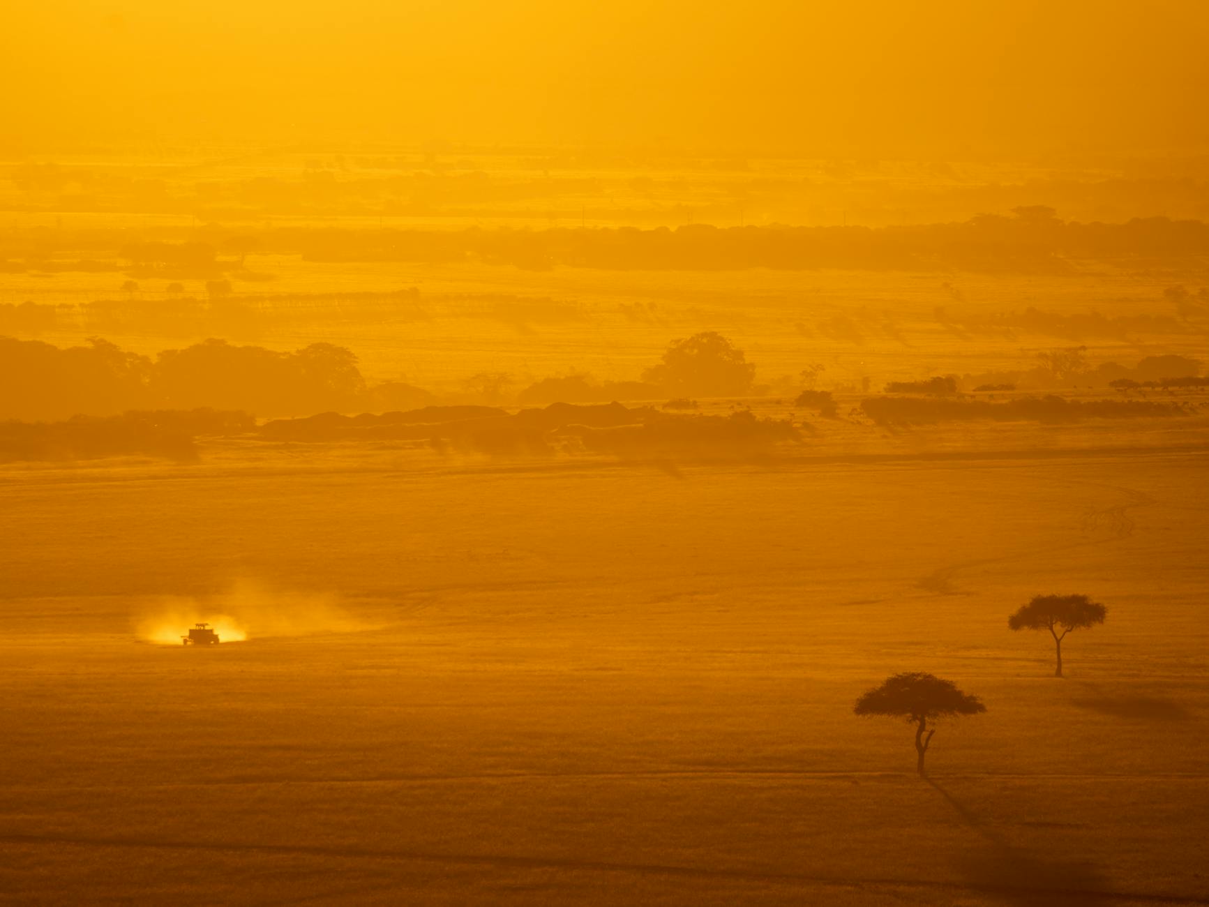 Golden sunset light over acacia trees in a Laikipia conservancy, showcasing the beauty of Kenya's conservation landscape