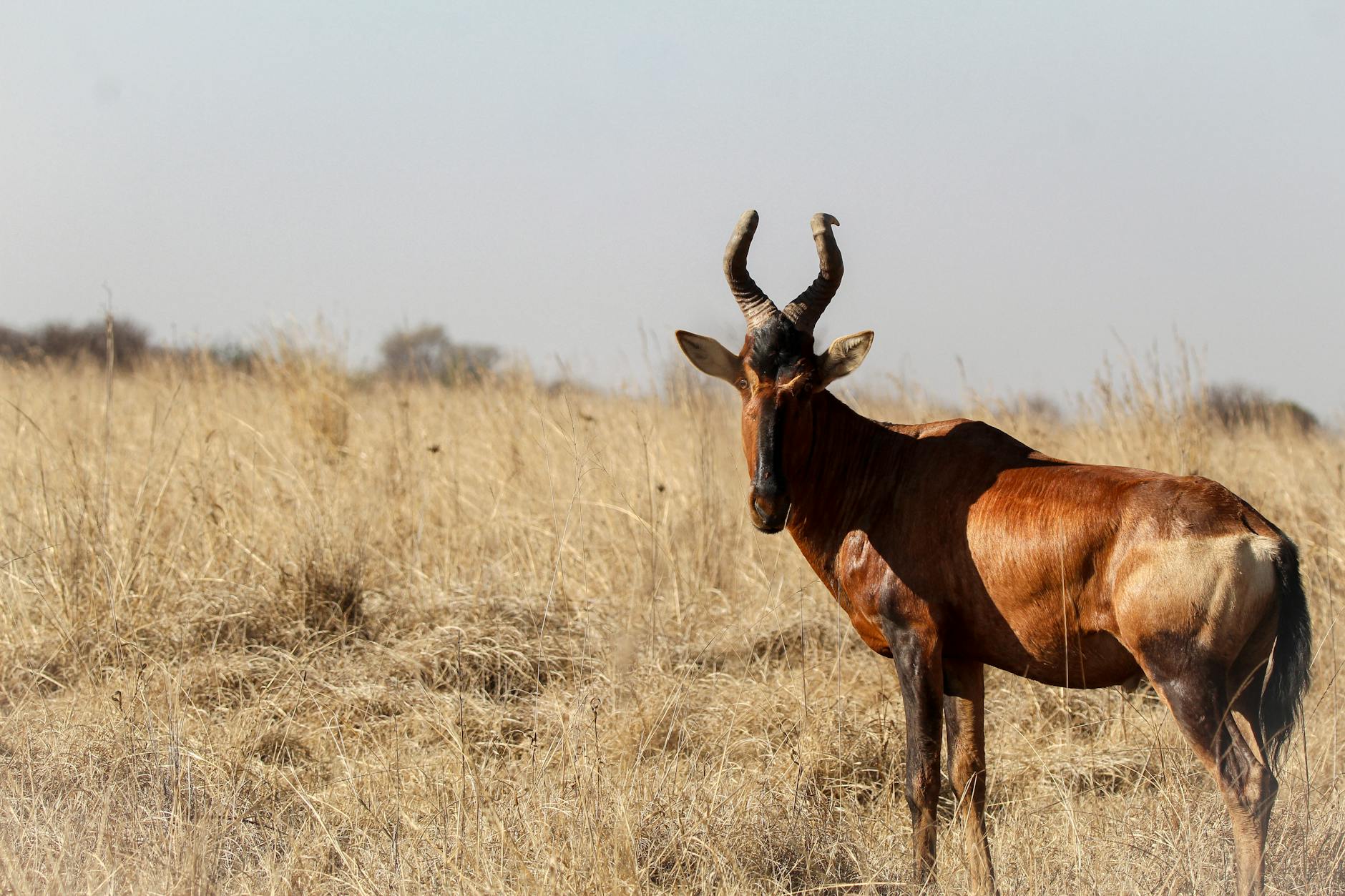 Best Time to Visit Laikipia Kenya: Season-by-Season Safari Guide