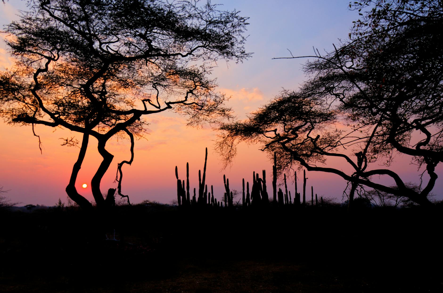Golden hour sunrise light over Laikipia Kenya landscape for wildlife photography