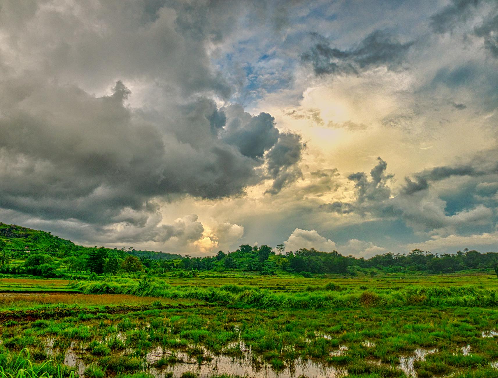 Lush green Laikipia landscape during the rainy season