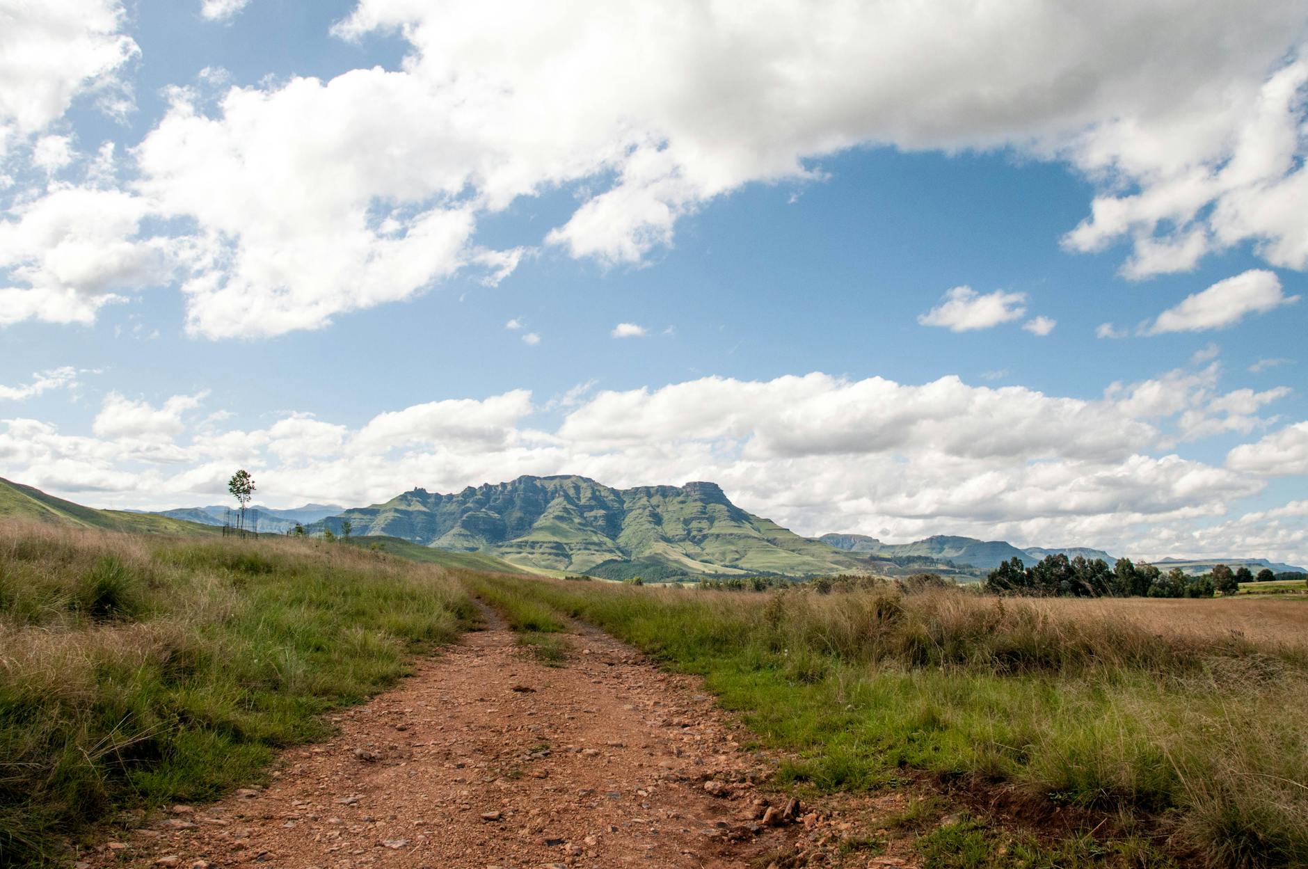 Mountain biking through Laikipia Kenya bush landscape