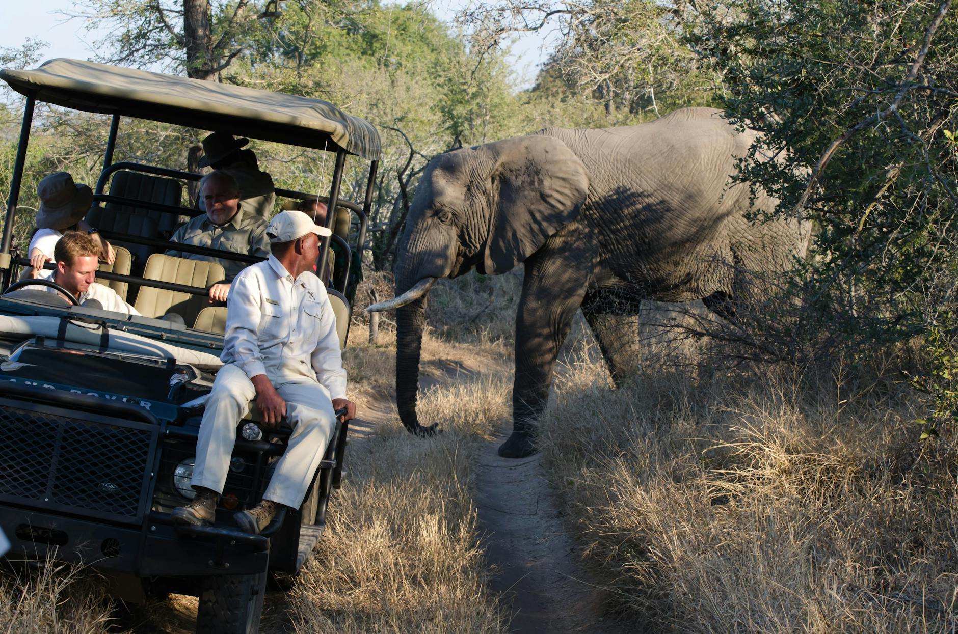 Guided walking safari through the African bush with armed ranger leading tourists on foot