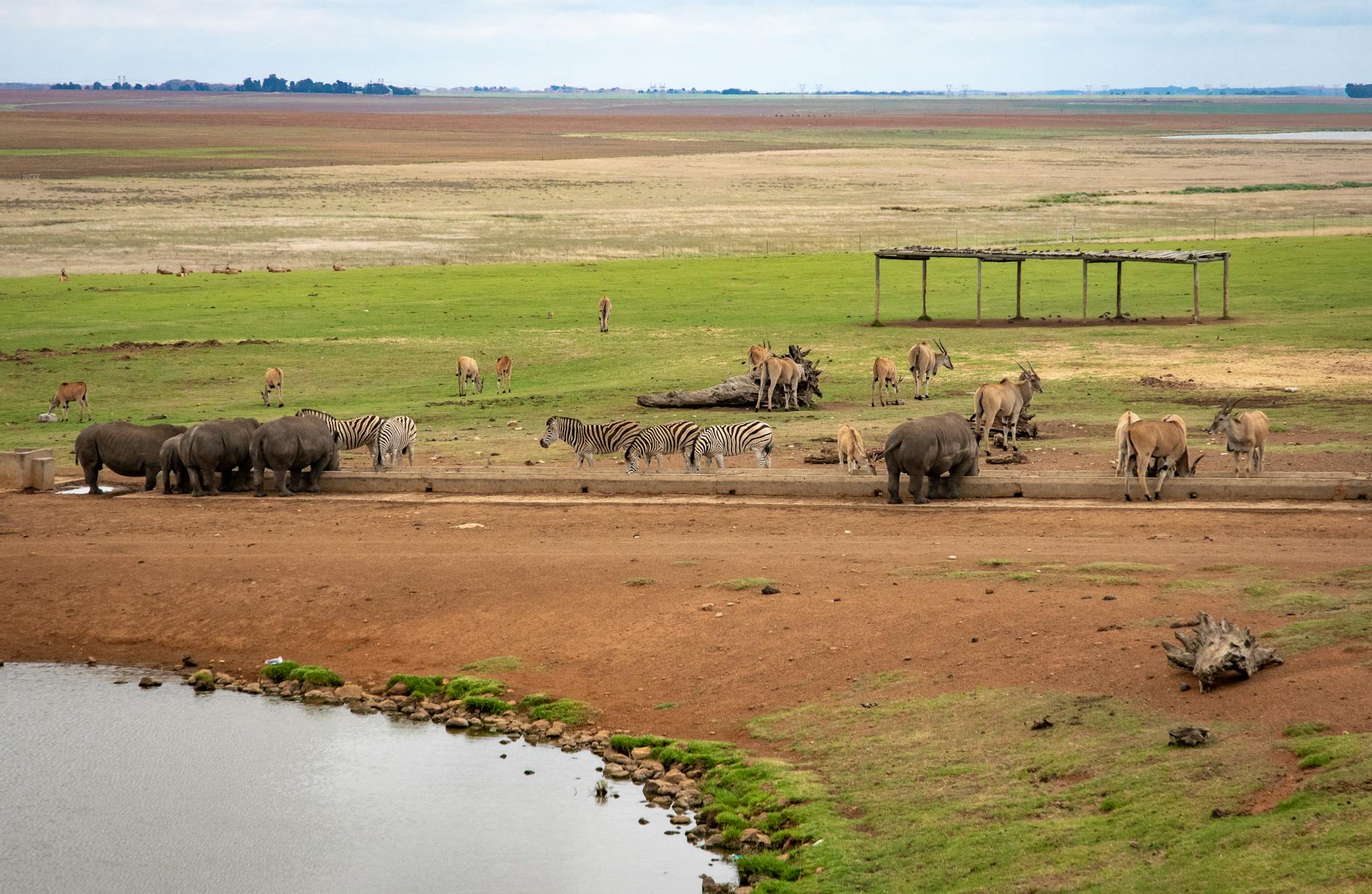 A lodge waterhole, ideal for birdwatching