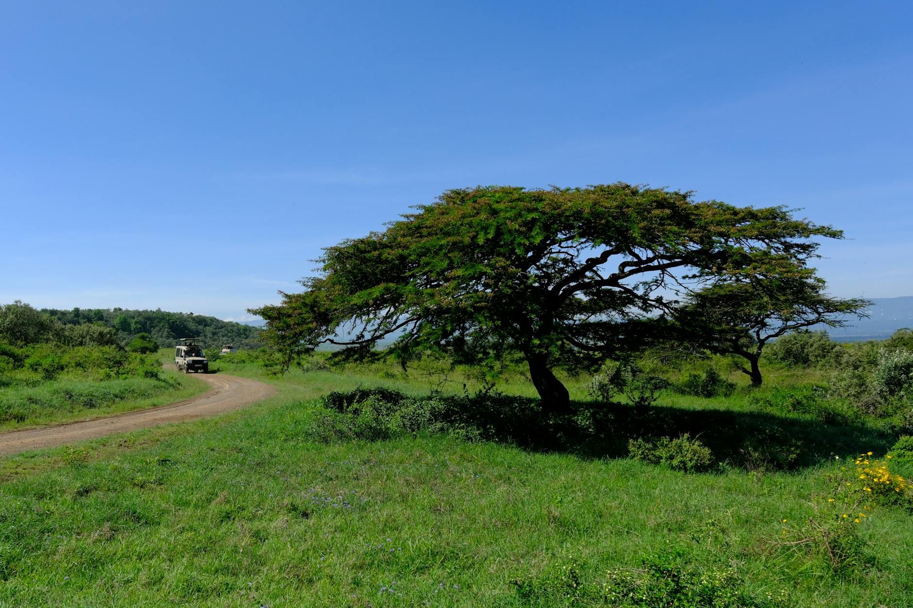 Laikipia plateau geography landscape Kenya