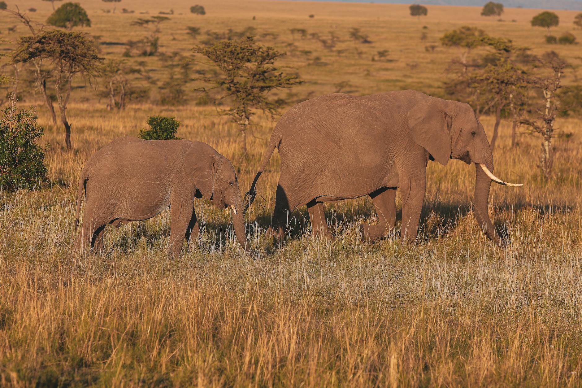 Laikipia Climate & Weather: Month-by-Month Guide