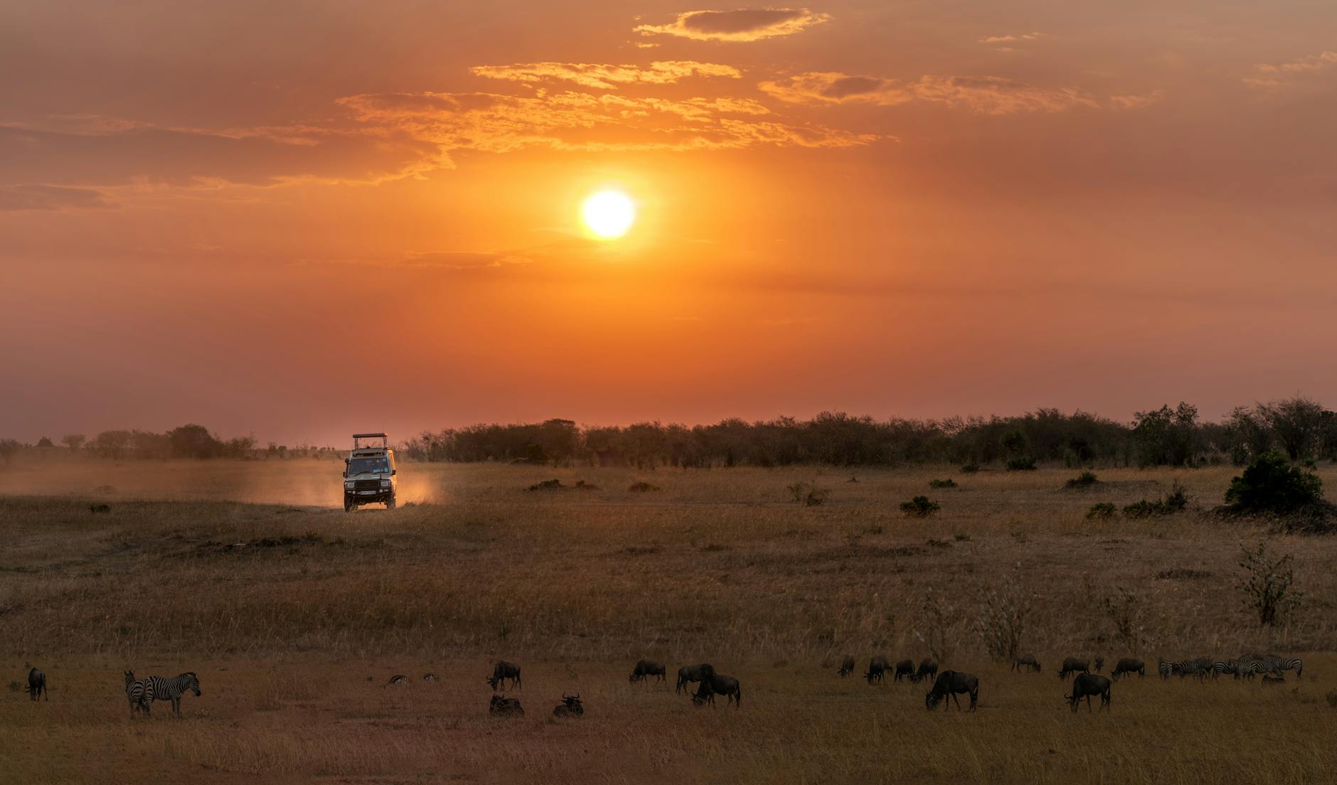 Why Visit Laikipia? 15 Reasons It’s Kenya’s Best-Kept Safari Secret