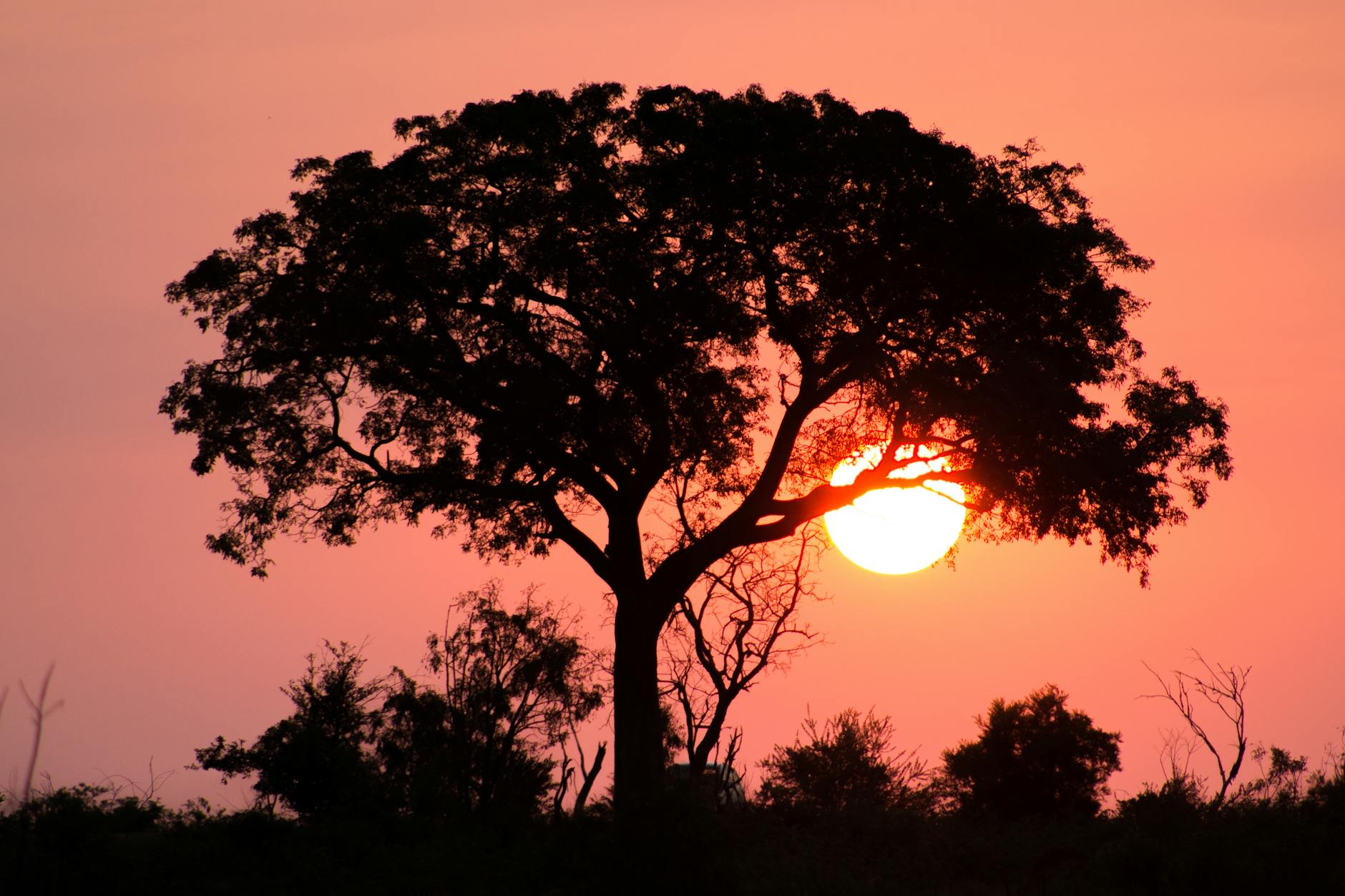Laikipia plateau safari Kenya wildlife exclusive experience