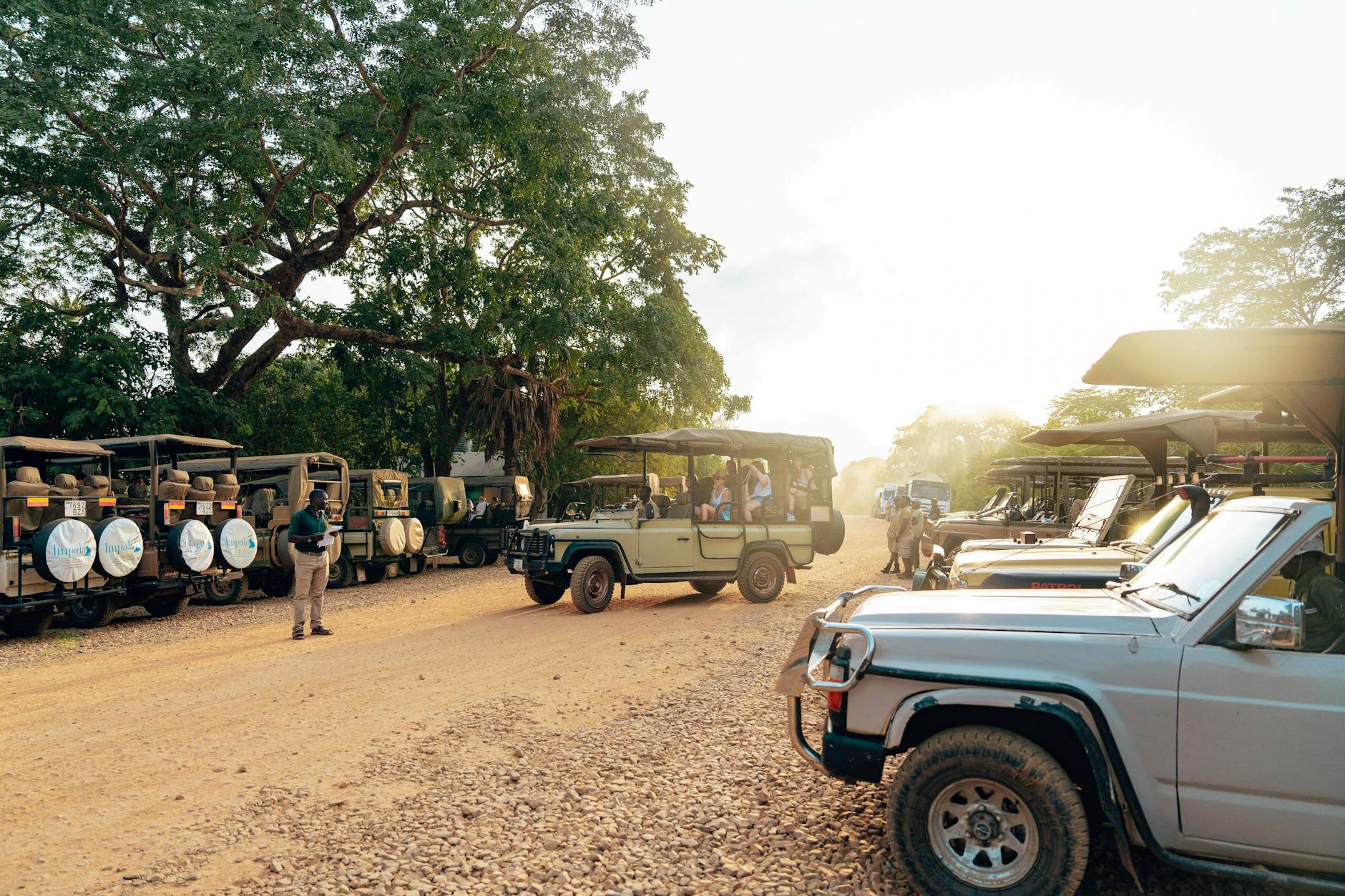 Travelling as a group to share safari costs