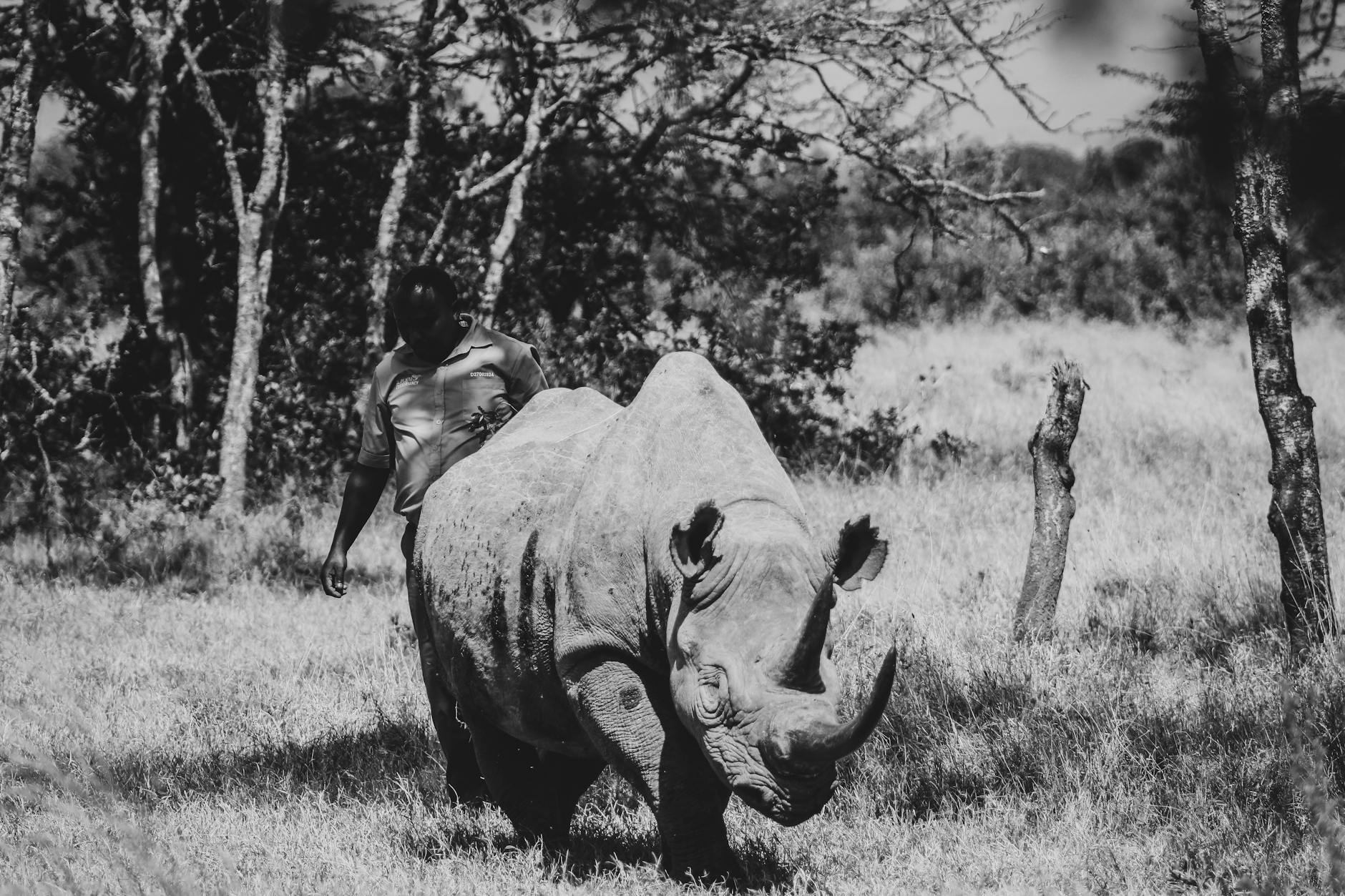 Anti-poaching rangers protecting wildlife in Laikipia