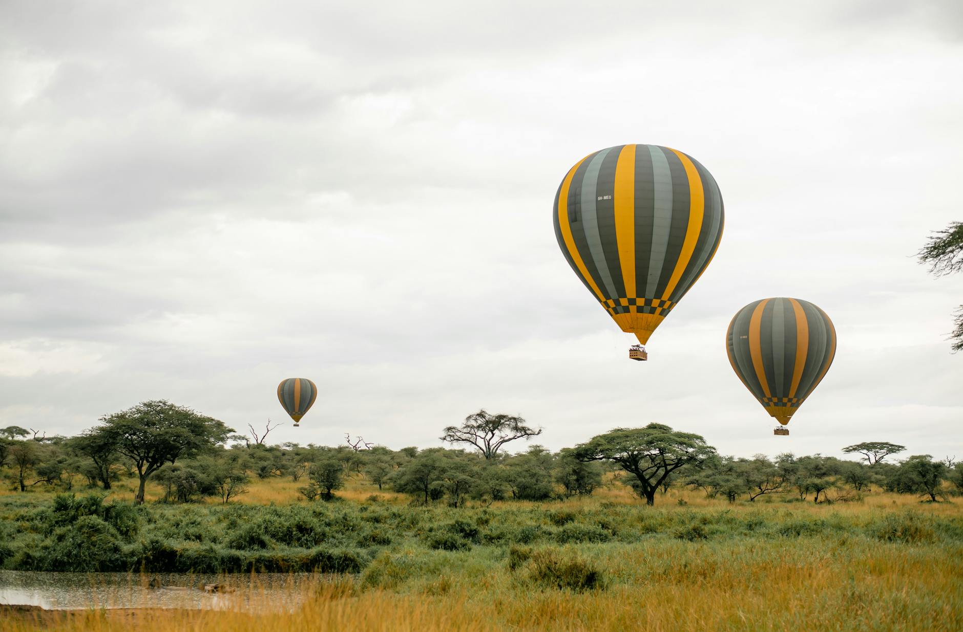 Hot air balloon safari over Laikipia at dawn
