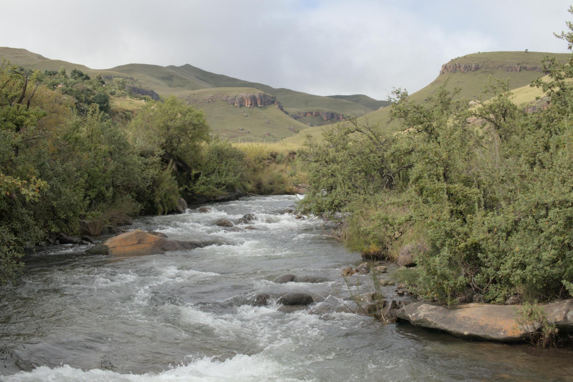 River activities on the Ewaso Ngiro in Laikipia
