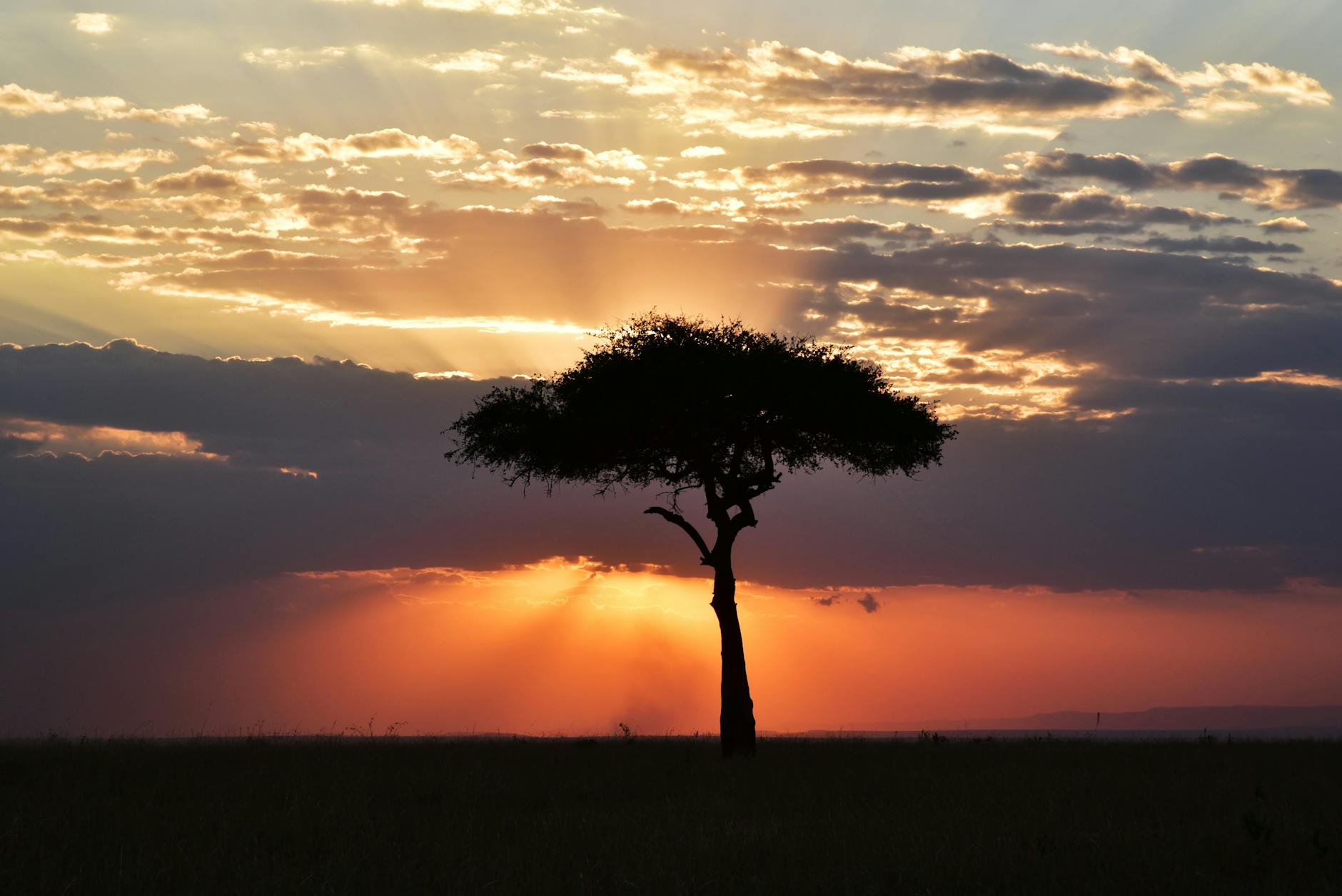 Sunset over the Laikipia plateau