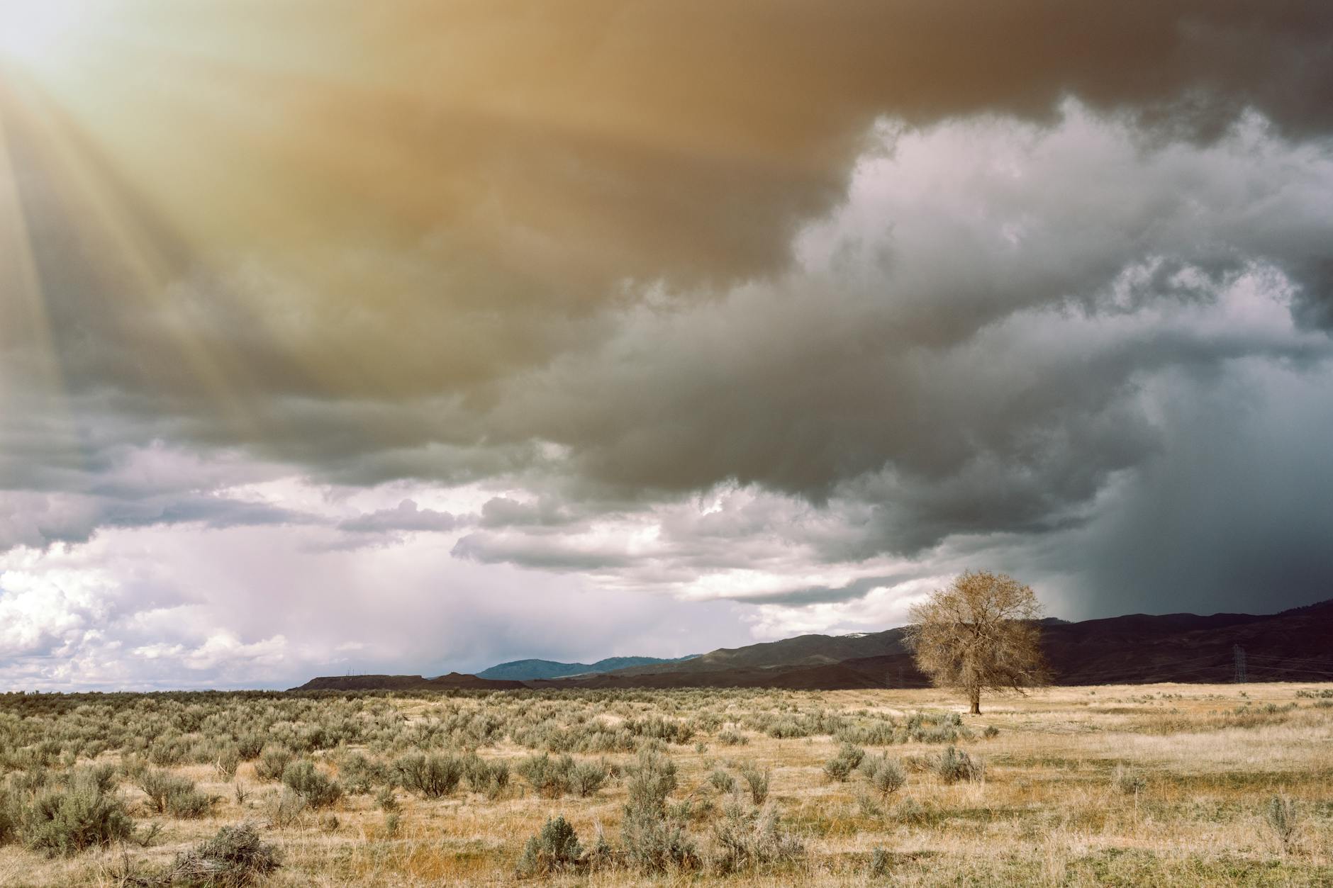 Dramatic wet-season skies over the Laikipia plains