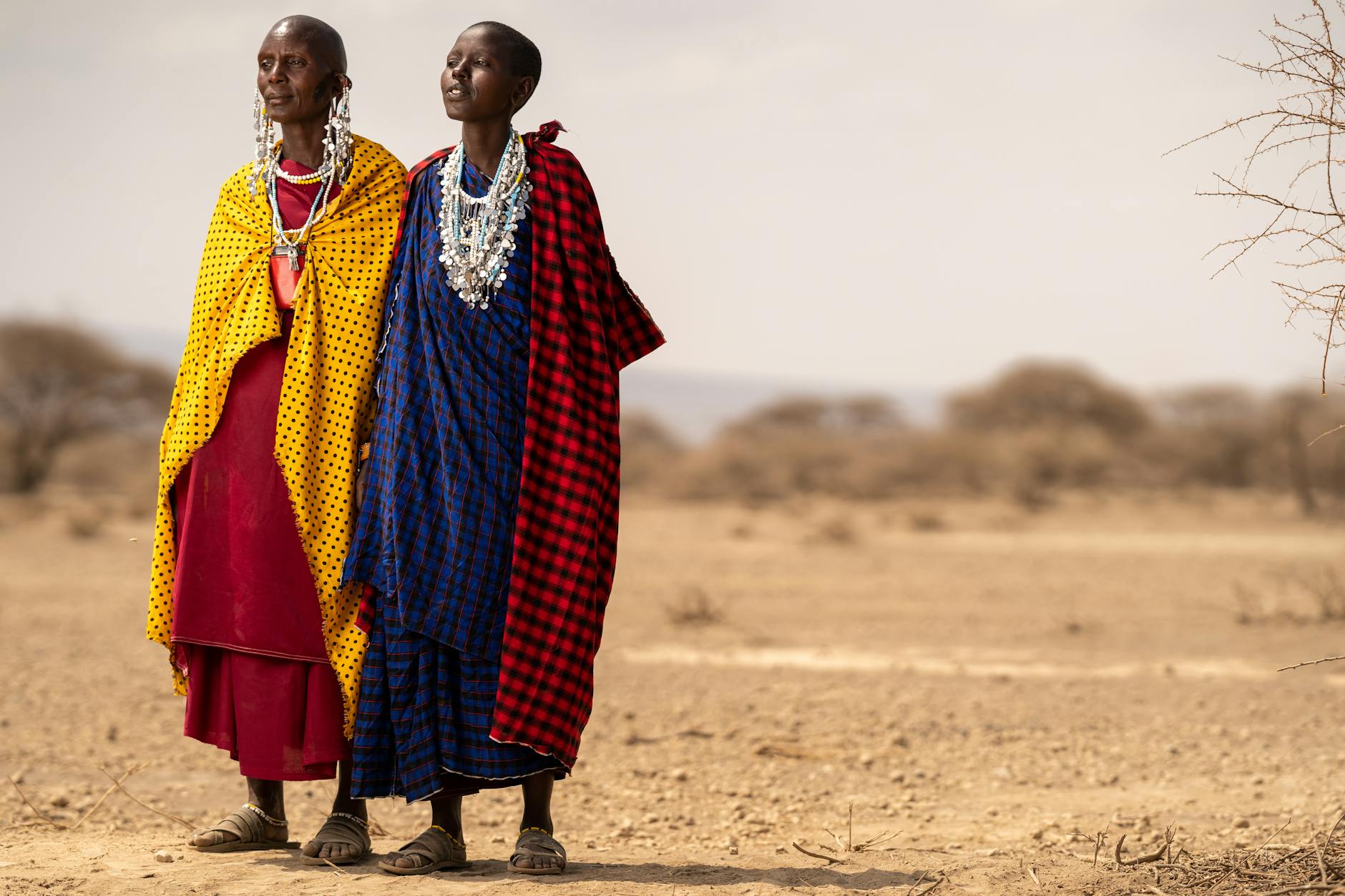 Maasai community member Laikipia community conservancy Kenya