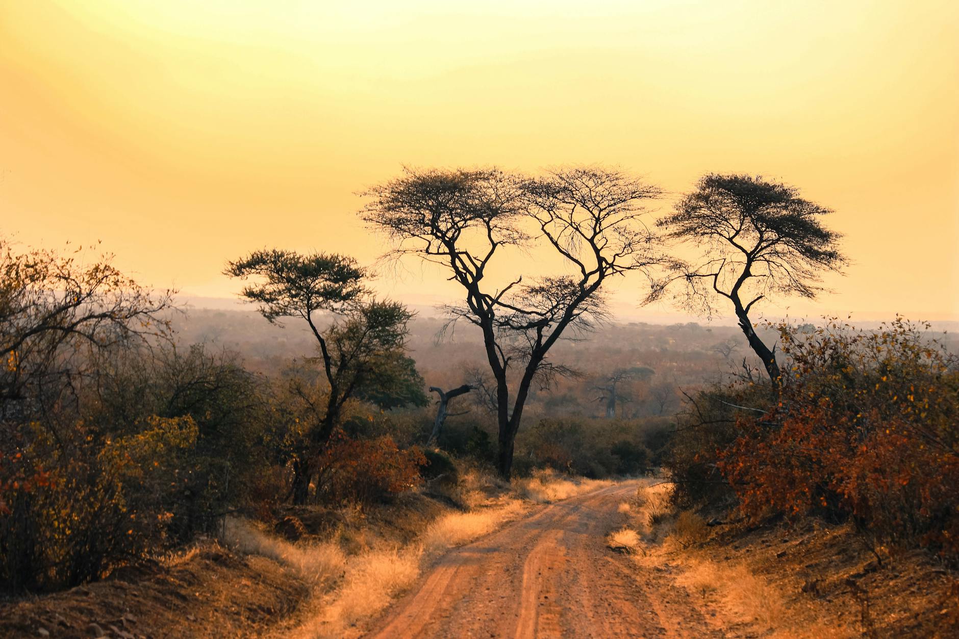 Walking safari savannah Laikipia Kenya adventure activities
