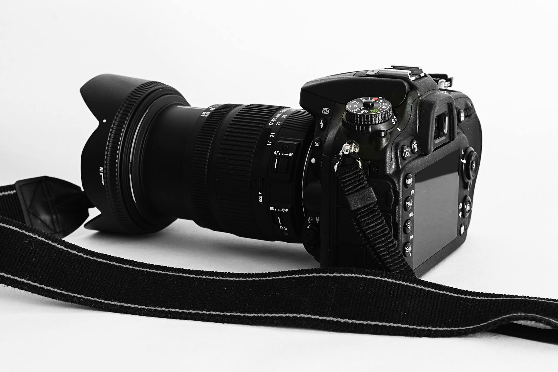 Camera bodies and lenses for safari photography