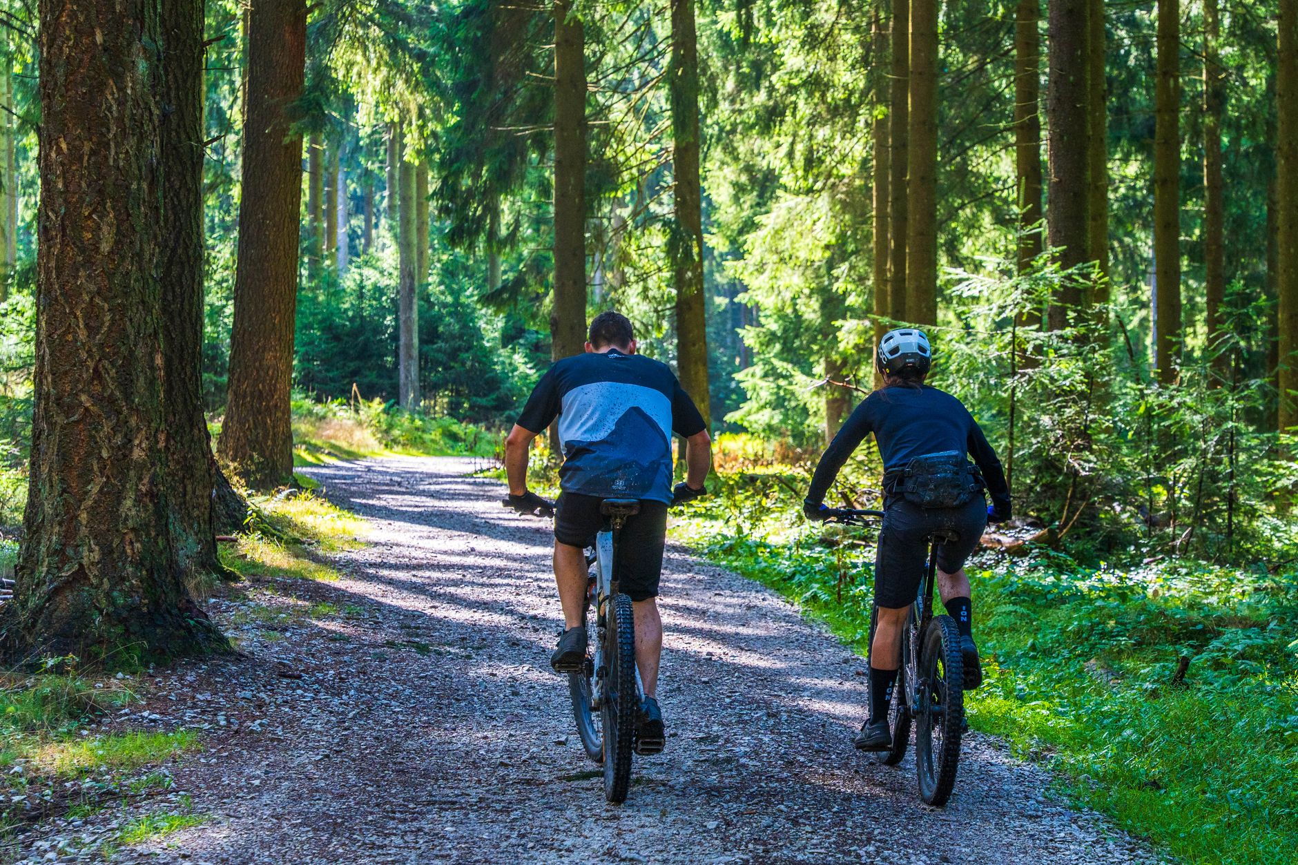 Mountain biking along bush tracks in Laikipia, Kenya, among plains game